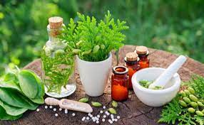 ayurvedic herbal franchise pcd company chandigarh